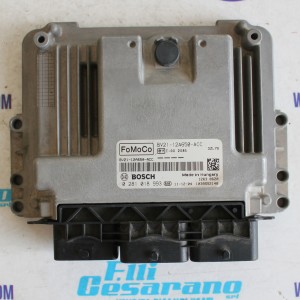 Centralina motore Ford Fiesta 1.4 hdi 0281018993