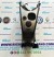 TUNNEL CENTRALE FIAT PANDA CROSS  ANNO:2021 CODICE:735493301