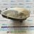 Faro Proiettore sinistro LANCIA YPSILON  ANNO:2005/2008 CODICE:27053300L