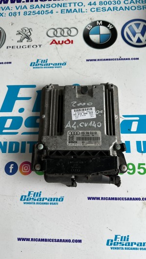 CENTRALINA MOTORE AUDI A4 Avant CODICE:0281012113 ANNO:2004